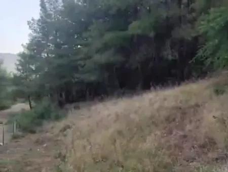 Muğla Ula Kızılyaka 790M2 Schatzkammer Das Landbesitzrecht Wird Übertragen Oder Das Fahrzeug Wird Ausgetauscht