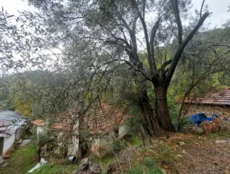 Dorfhaus Mit Eigentumsurkunde Zum Verkauf In Der Natur In Muğla Fethiye İnlice
