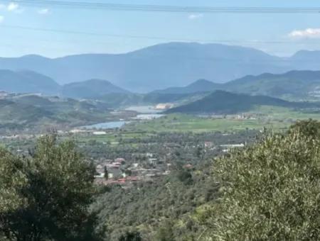 5 800 M2 Einzeltitel, Freistehendes Grundstück Zum Verkauf In Muğla Milas