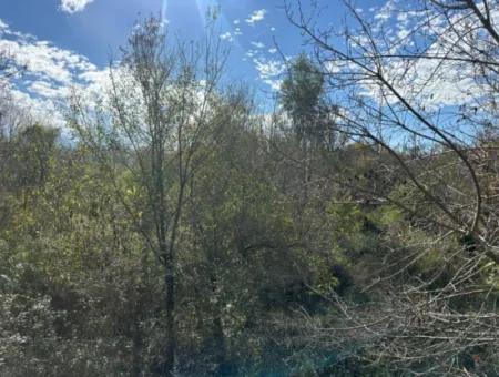 12 000 M2 Feld Zum Verkauf In Ortaca Yeşilyurt