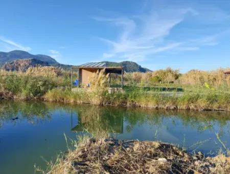 Container Mit Bootsliegeplatz Am Kanal In Muğla Ortaca Dalyan – Zum Verkauf