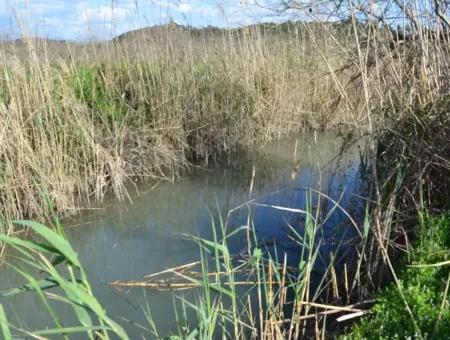 Bauernhof Zum Verkauf Schnäppchen In Dalyan