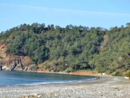 Grundstück Zu Verkaufen In Göcek In Der Nähe Des Strandes, Mit Einem Projekt Inlice