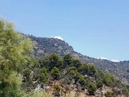 Grundstück Mit Meerblick Zum Verkauf In Mugla Dalaman Kapıkargın