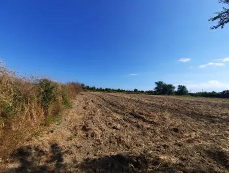 Oriya Fevziye Land Zum Verkauf In Null-Straße