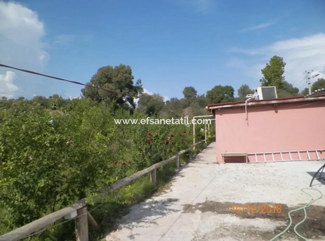 12 000 M2 Farm For Sale Certified Organic Agriculture Oriya Eskiköy