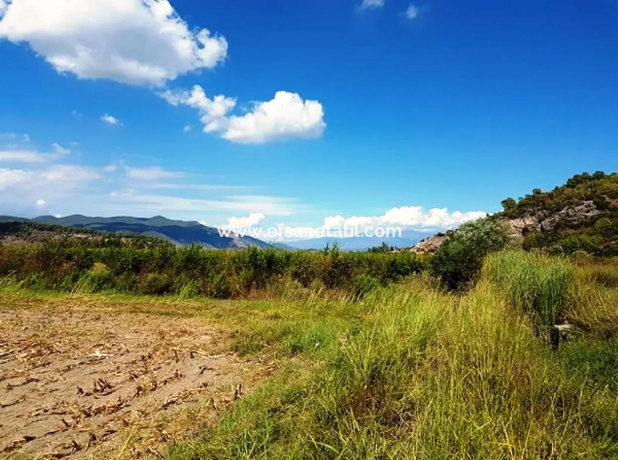 Fertile Bargain Land For Sale In Muğla Ortaca Güzelyurt