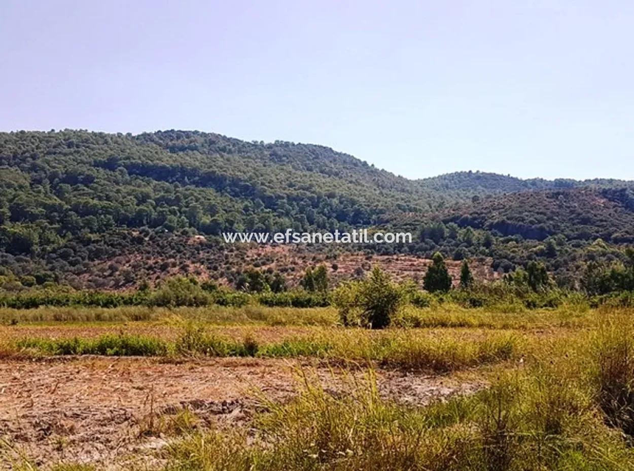 Fertile Bargain Land For Sale In Muğla Ortaca Güzelyurt