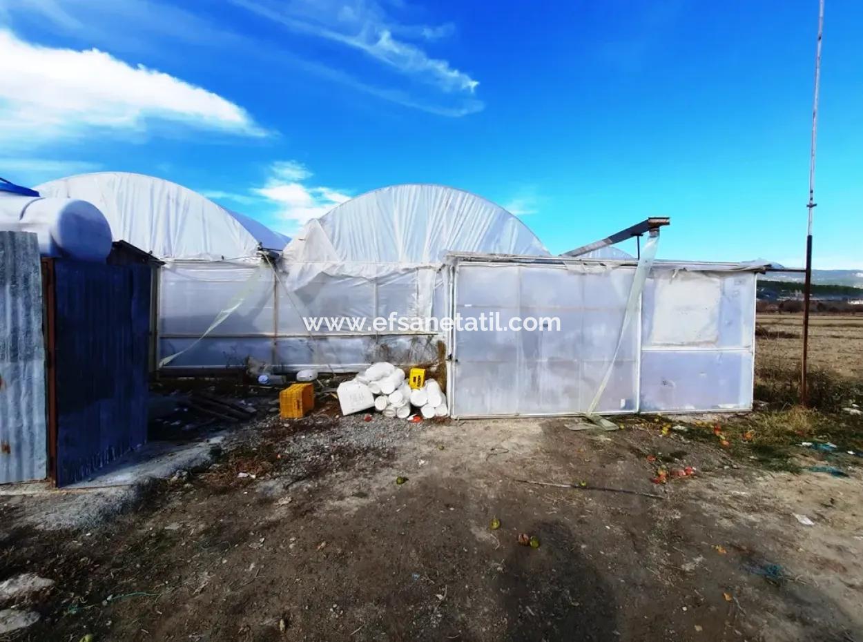 Denizli Çameli Yumrutaş Detached 4 000 M2 Greenhouse For Sale