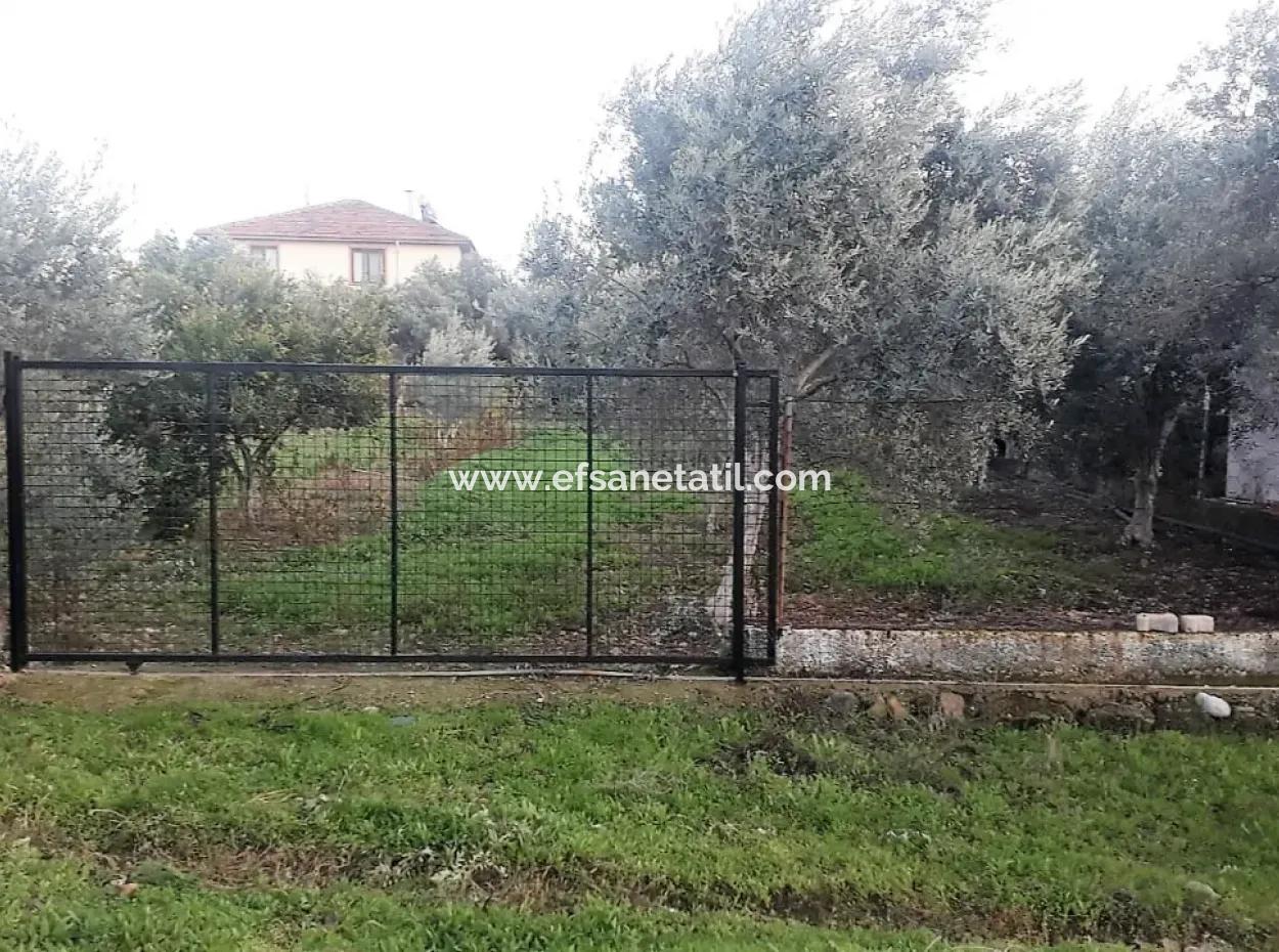 Zoning Plots With Lake Views For Sale In Köyceğinz Toparlar