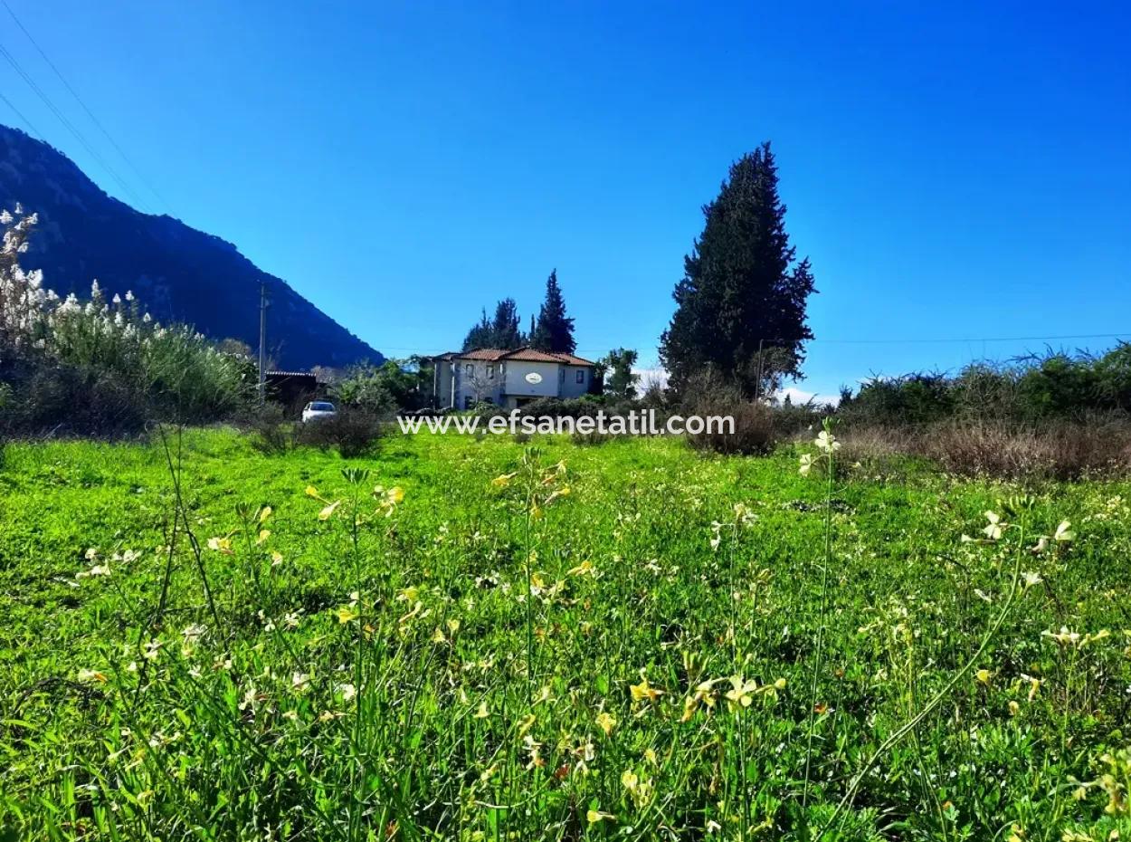 Mugla Ortaca Dalyan Is Also Fertile Land Suitable For 9 300 M2 Investment With Road Facades For Sale