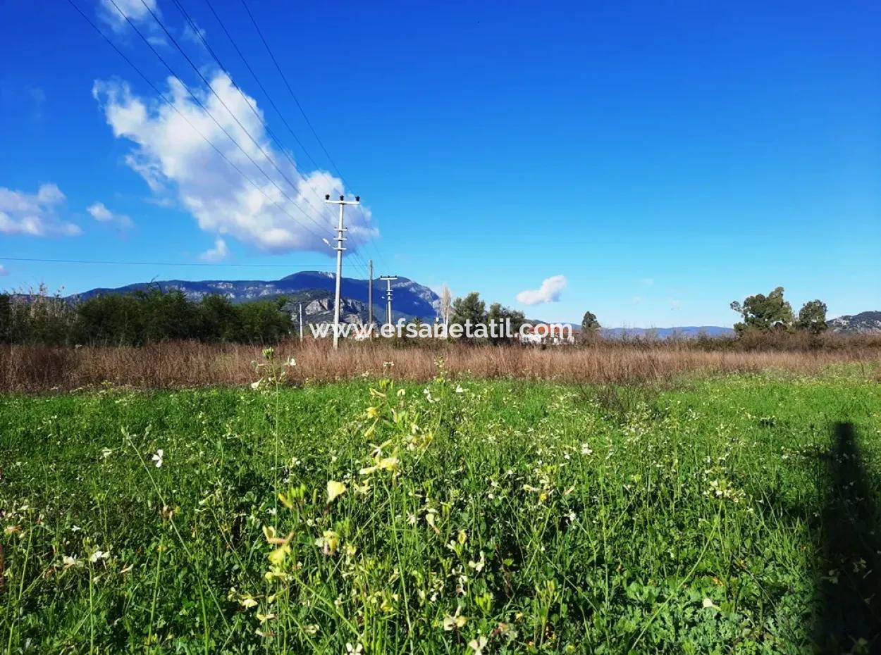 Mugla Ortaca Dalyan Is Also Fertile Land Suitable For 9 300 M2 Investment With Road Facades For Sale