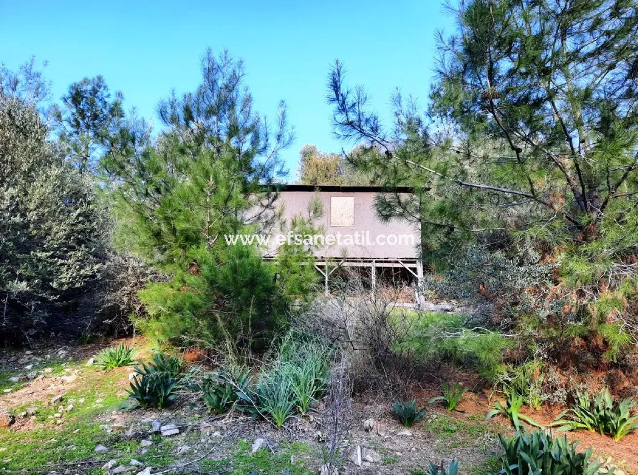 Mugla Dalyan Gokbel 1700 M2 Detached Land And Bungalow With Nature View