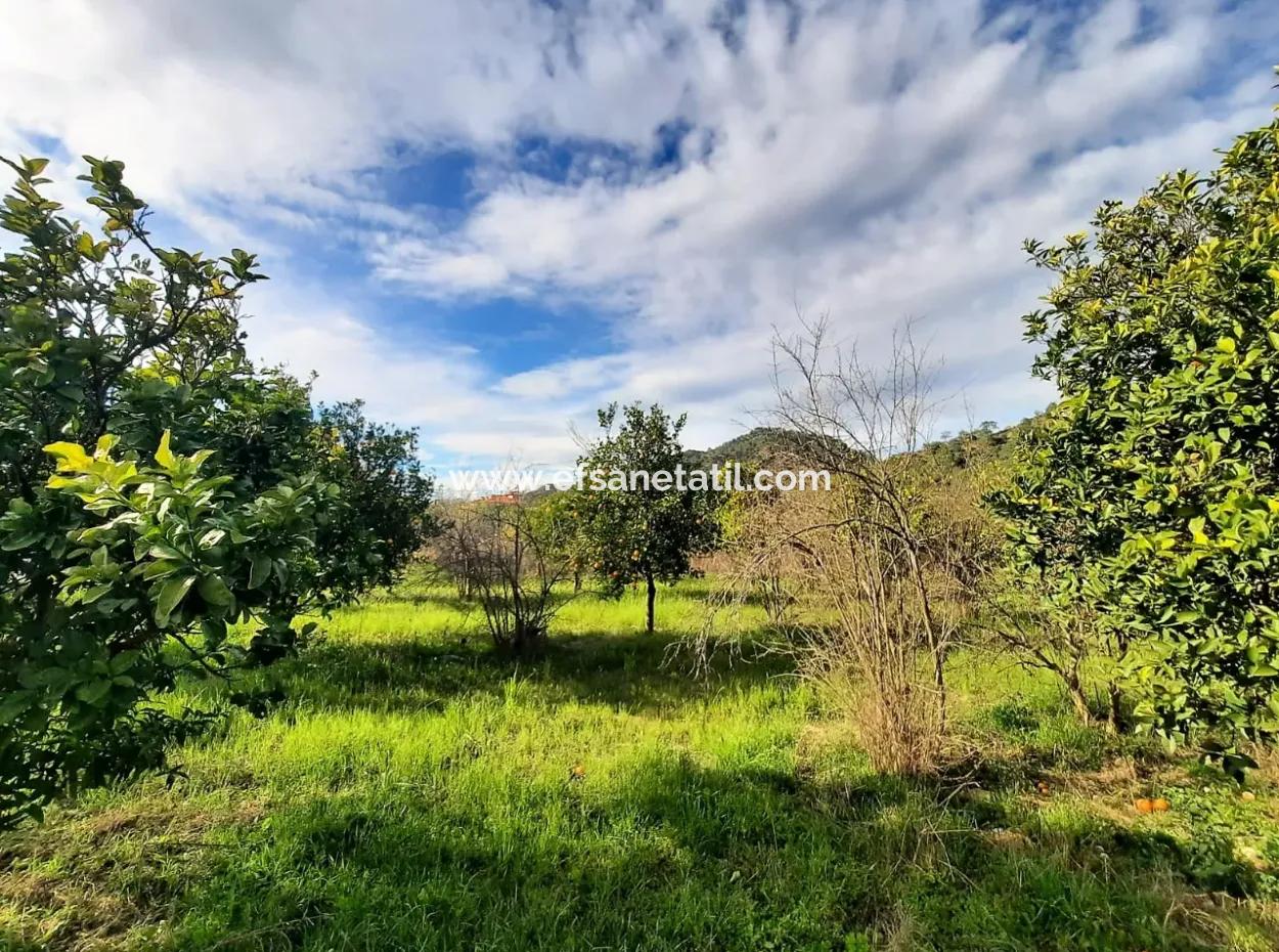 2 Parcels Of Zoning Land Side By Side For Sale In Ortaca Yerbelen