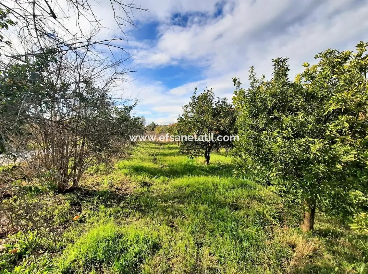 2 Parcels Of Zoning Land Side By Side For Sale In Ortaca Yerbelen