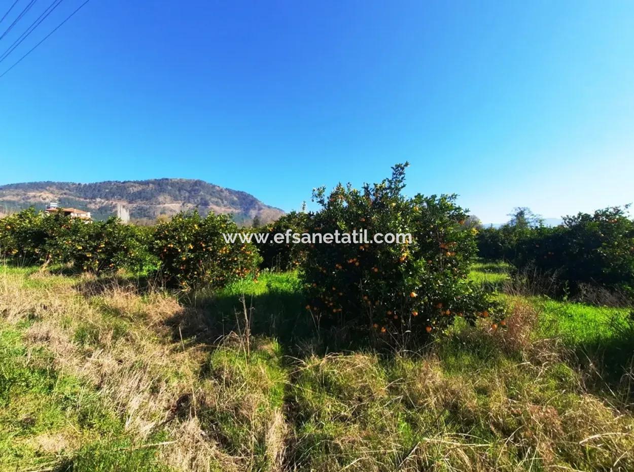 Mugla Archers Have 250 M2 Construction Rights For Sale On 1038 Plots