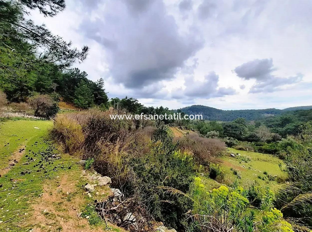 Dalyan Gökbel 13,100 M2 Field For Sale In Nature