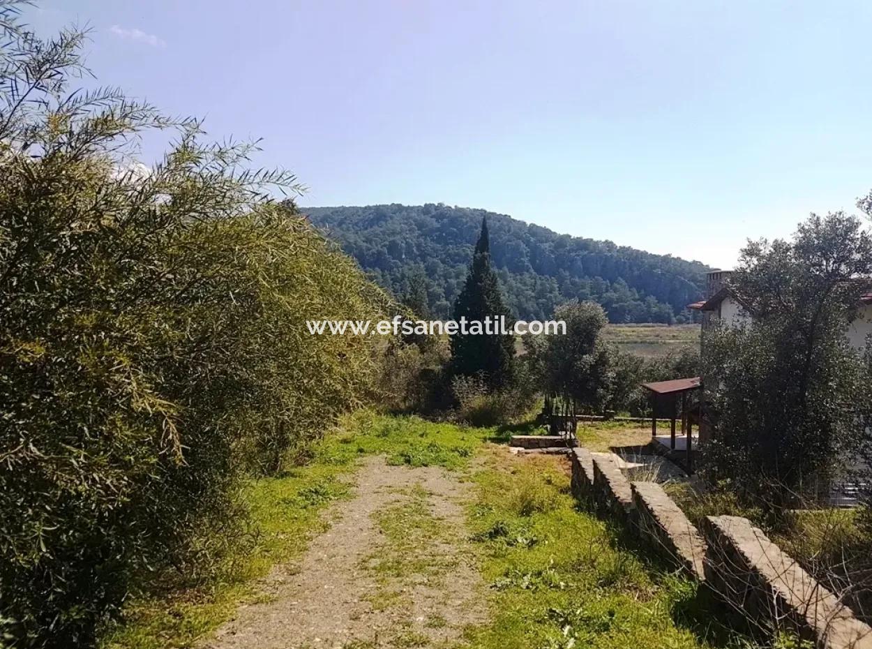 Excellent Plot For Sale Bargain, 2616 M2 Detached Parcels 6