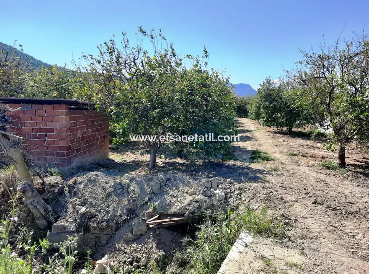 530 M2 Zoning Land For Sale In Mugla Ortaca Fevziye