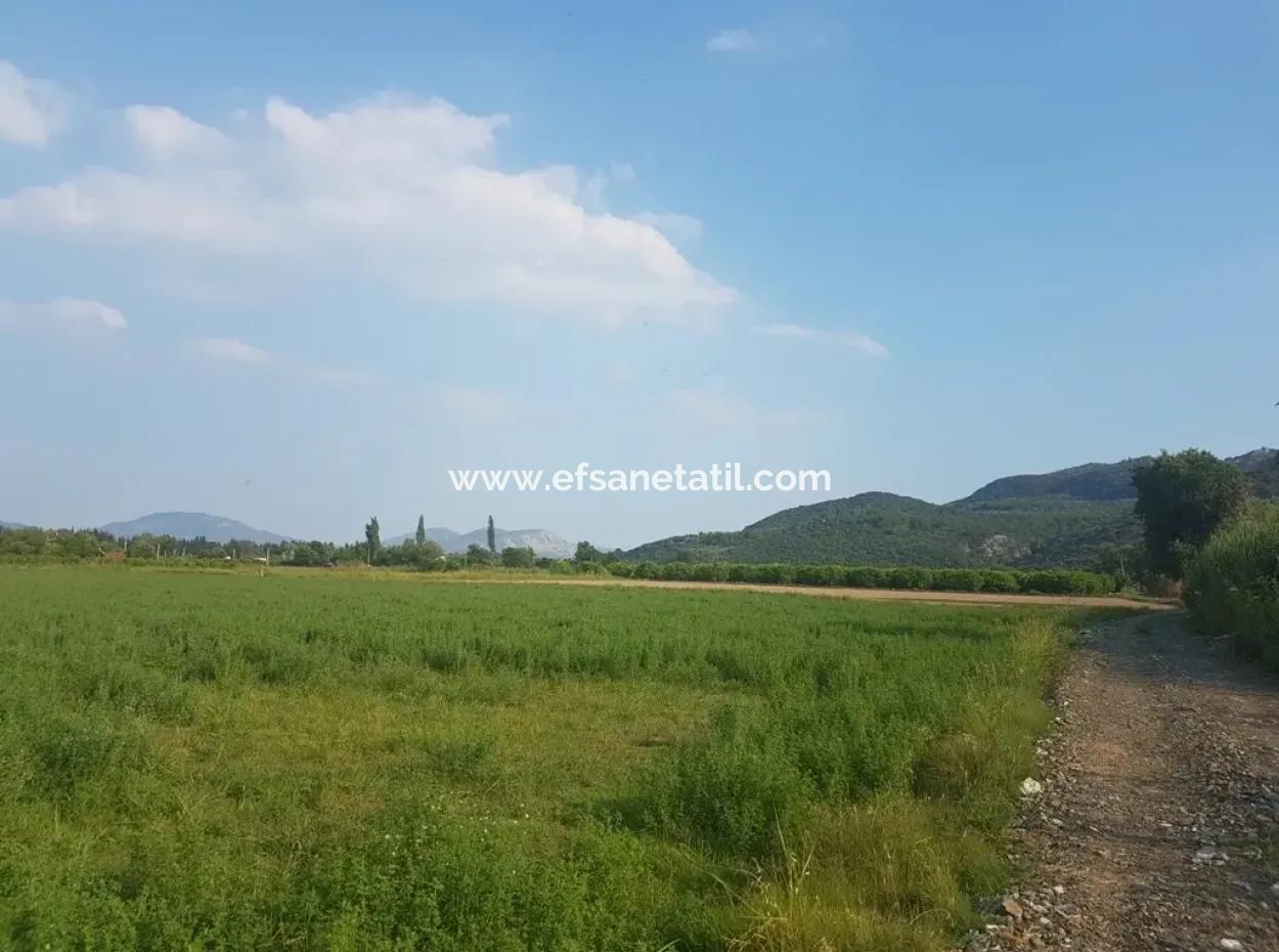 3700 M2 Fertile Field For Sale In Ortaca Fevziye