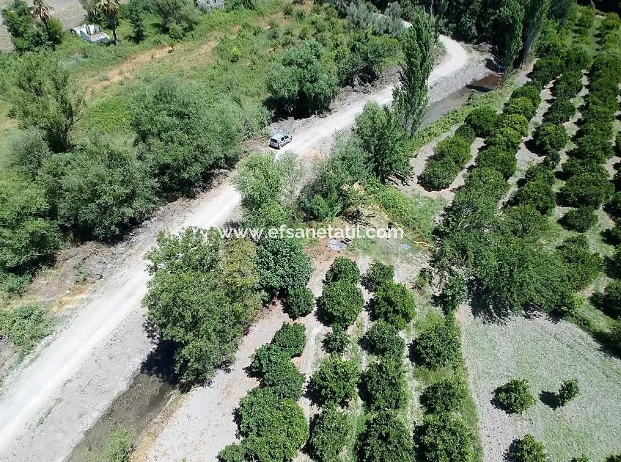 Detached Title Deed Close To The Lake In Köyceğiz 2 650 M2 Citrus Garden For Sale Or Exchange