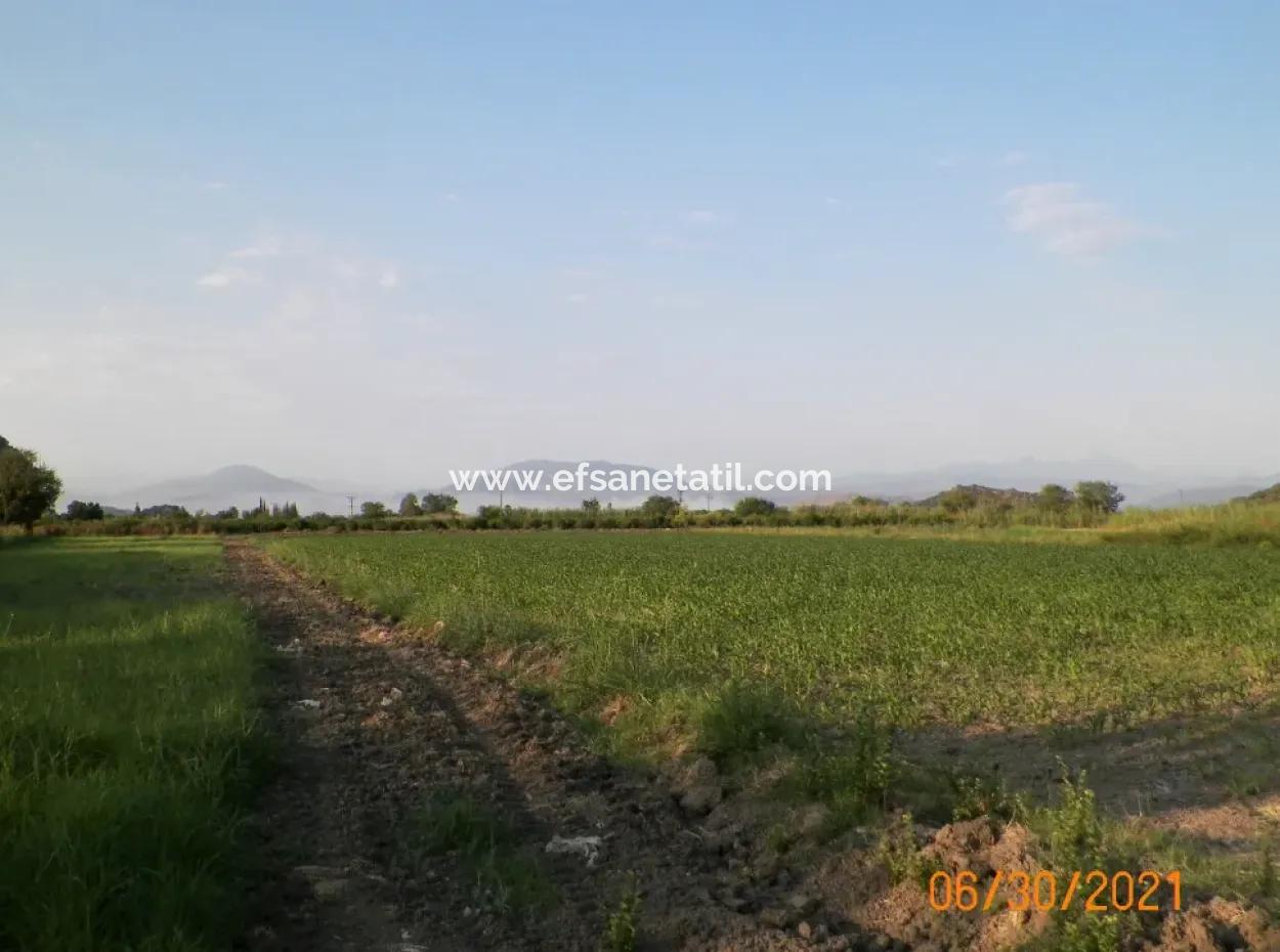 10 000 M2 Fertile Land For Sale In Mugla Ortaca Mergenli
