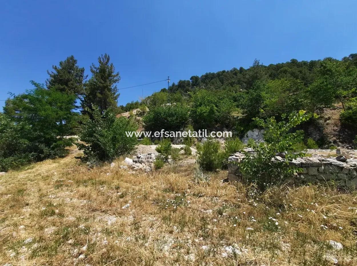 Denizli Çameli Gökçeyaka 2762 M2 Detached Land For Sale