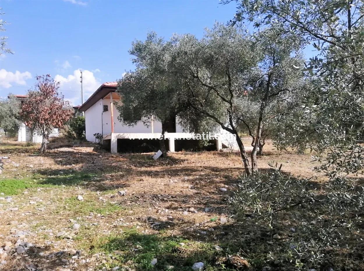 2 Detached Houses For Sale In 1992 M2 Plot Overlooking The Lake In Köyceğiz Zeytinalanı
