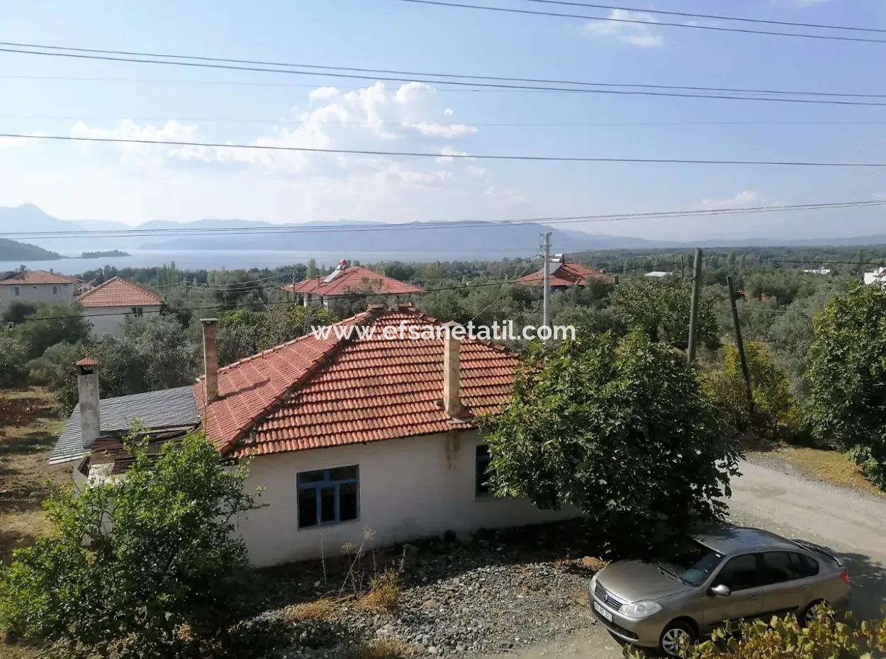 2 Detached Houses For Sale In 1992 M2 Plot Overlooking The Lake In Köyceğiz Zeytinalanı