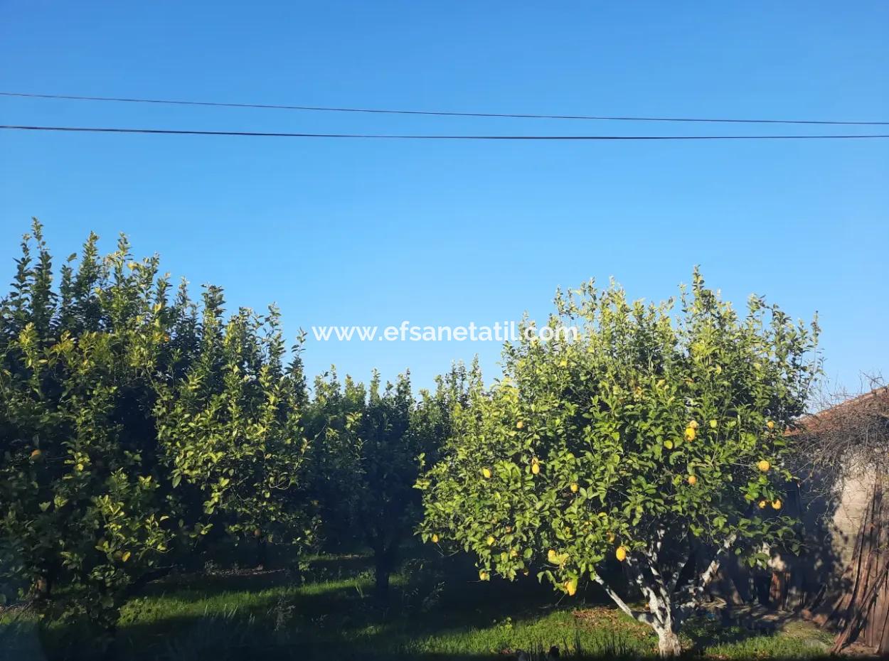 Mugla Ortaca Dalaklı 2000 M2 Land For Sale