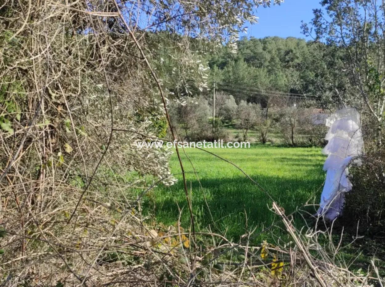 Mugla Ula Karabörtlen 2956 M2 Detached Land For Sale