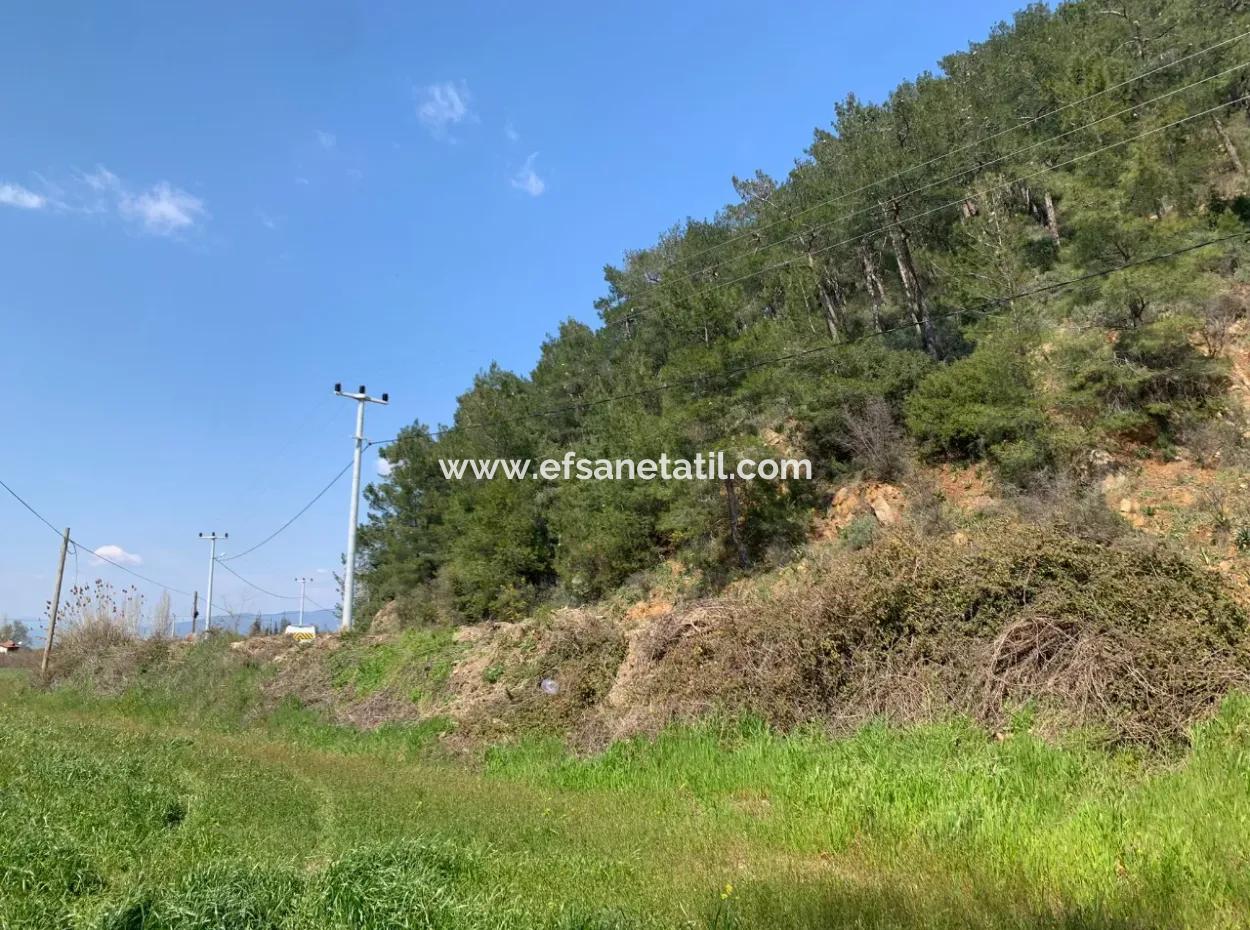 15220 M2 Field For Sale Between Ortaca Tepearasi