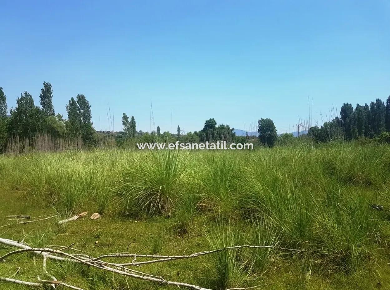 3700 M2 Land For Sale In Koycegiz
