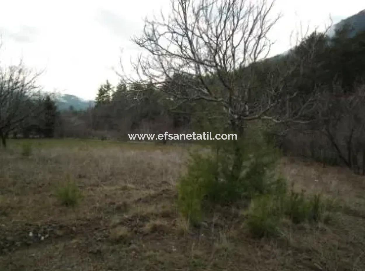 1985 M2 Land And Old Village House For Sale In Fethiye Nif