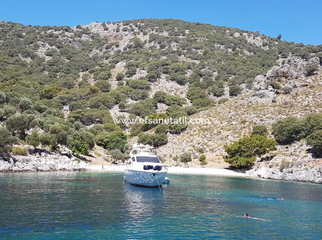 Fethiye Gocek Island Sea Side Location 2600 M2 Olive Grove For Sale