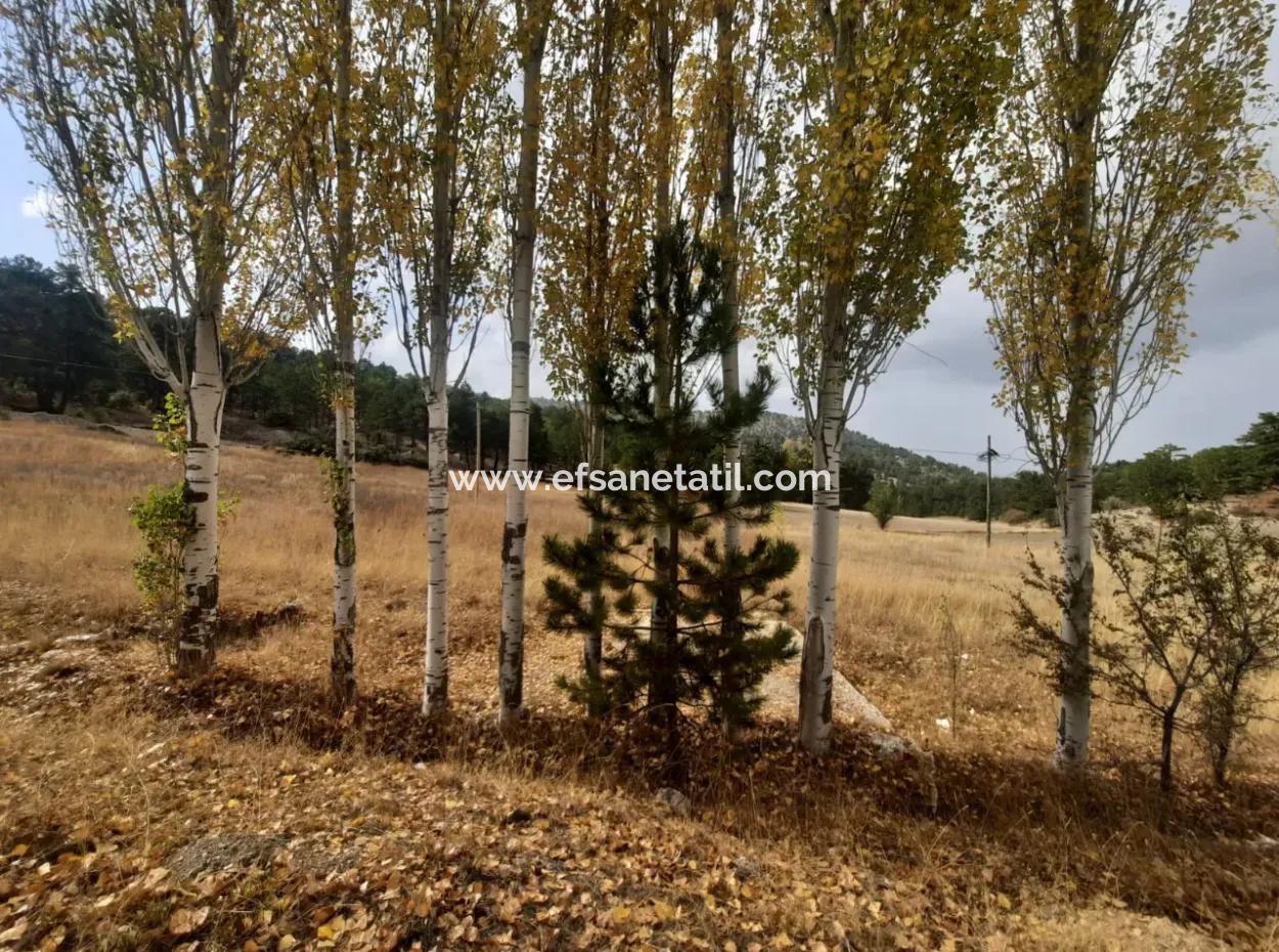 6 230 M2 Detached Land For Sale Or Exchange On The Old Acıpayam Road In Çameli Cumanda