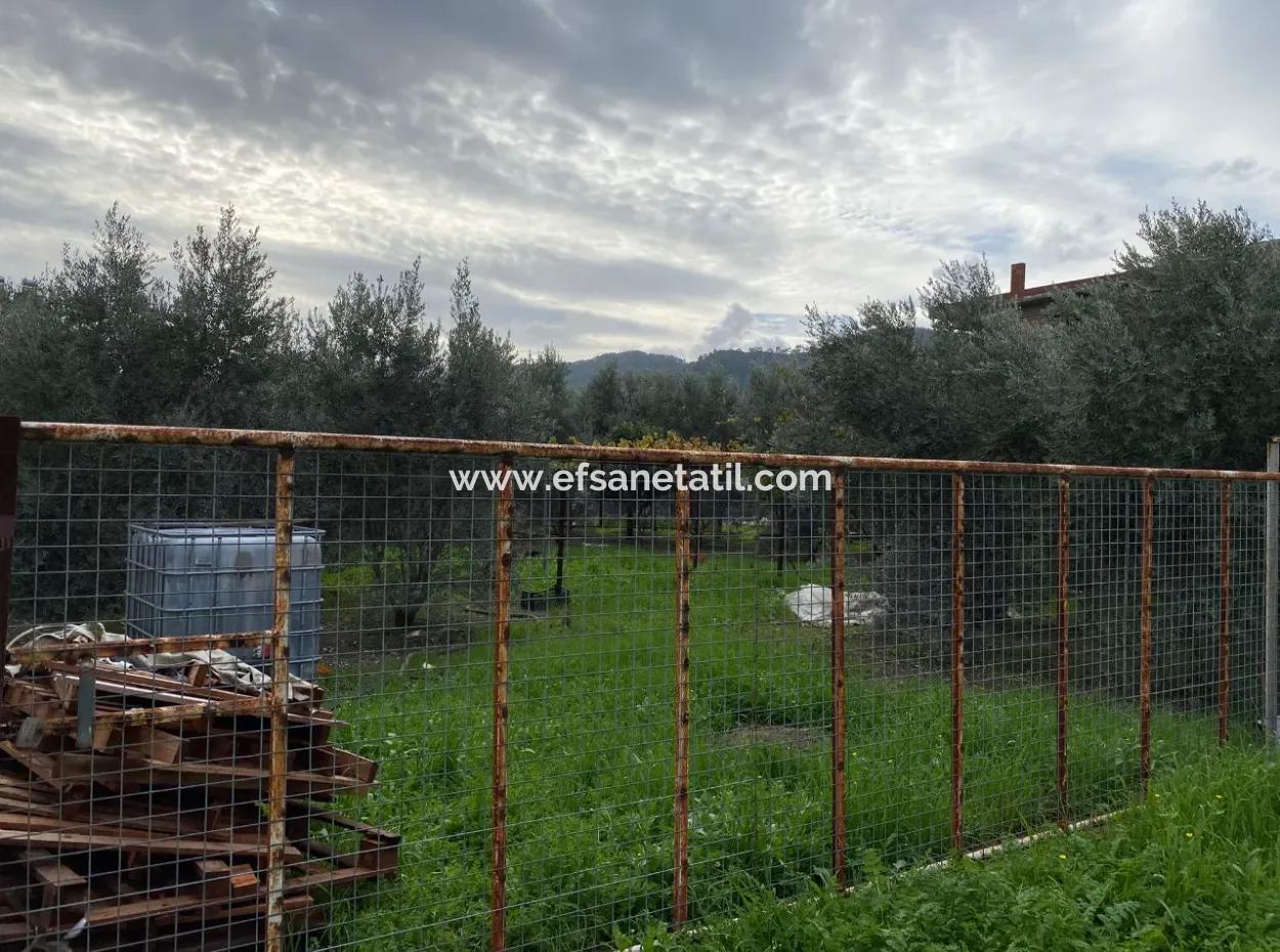 Muğla Ortaca Karaburun Mah 600 M2 Land For Sale