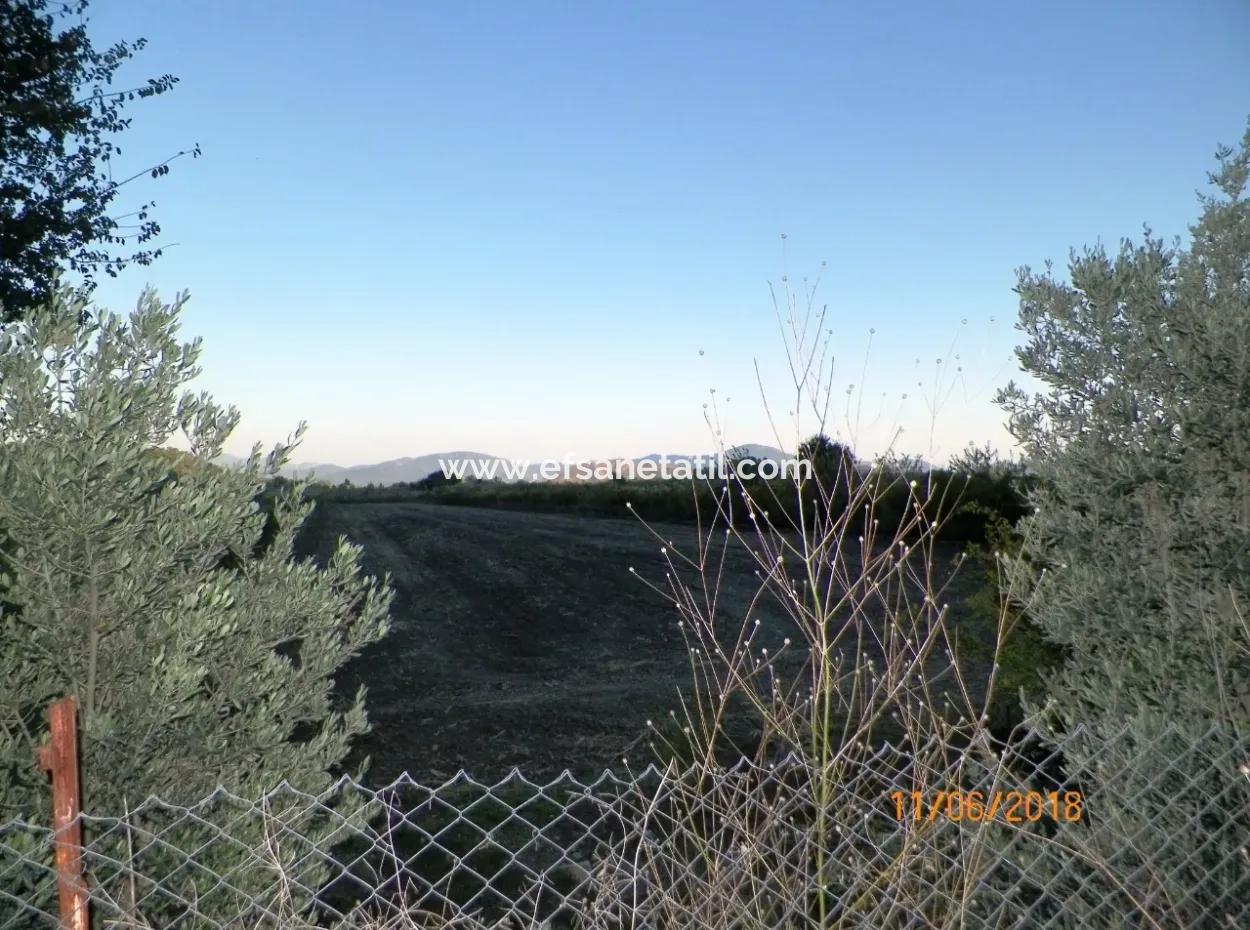 Farm For Sale In Oriya Yeşilyurt