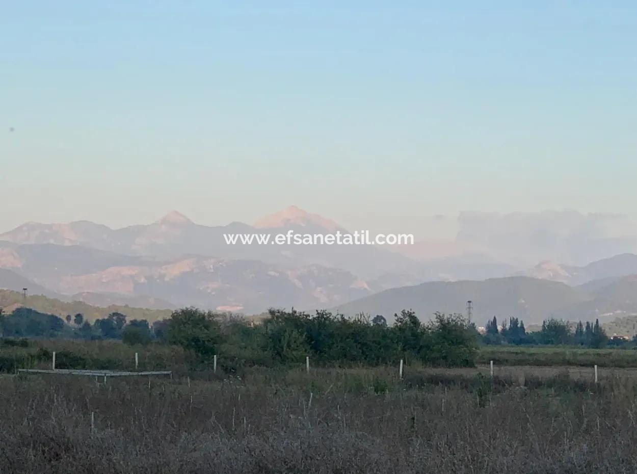 26.200 M2 Detached Field And 3.000 M2 For Sale In Ortaca Güzelyurt