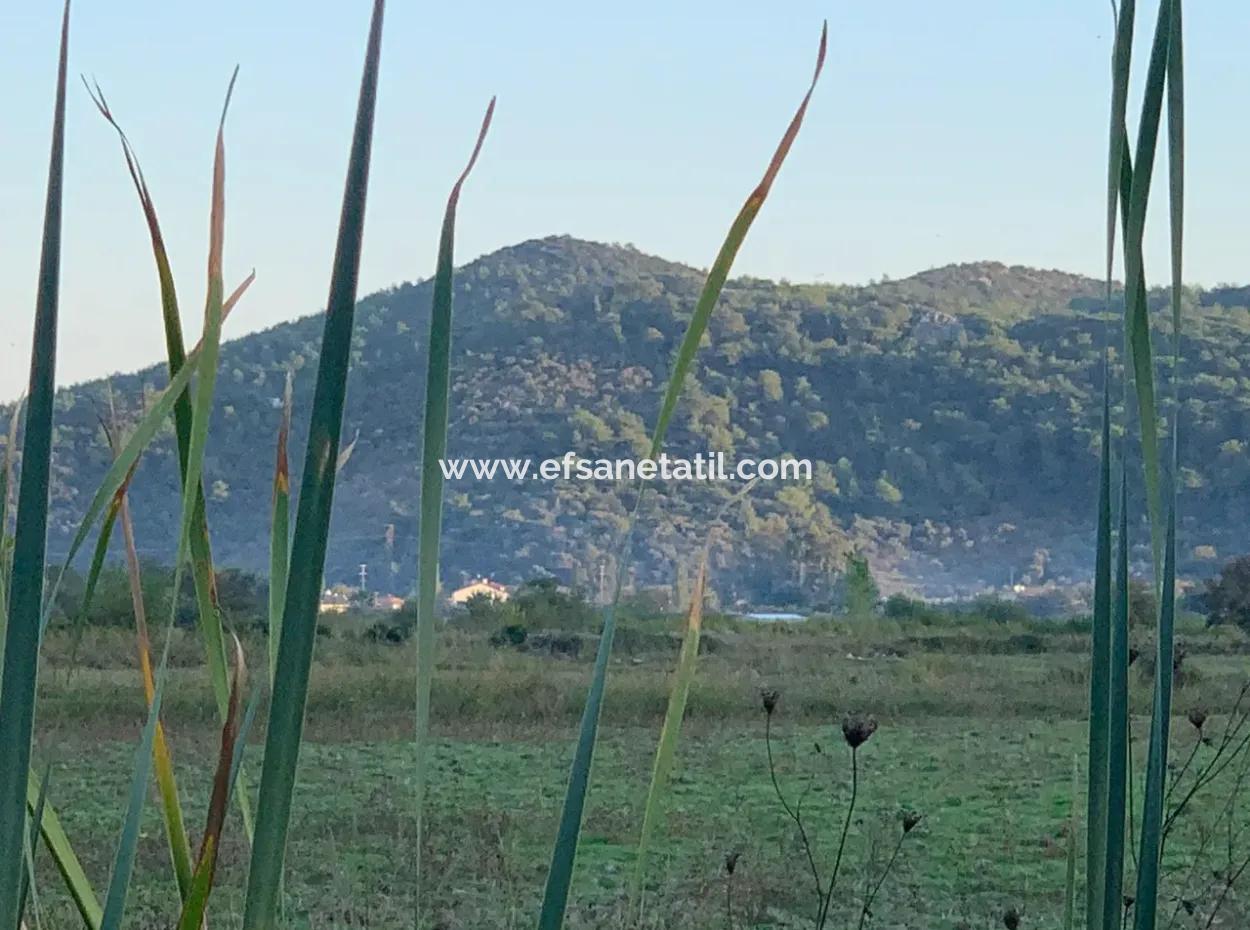 26.200 M2 Detached Field And 3.000 M2 For Sale In Ortaca Güzelyurt