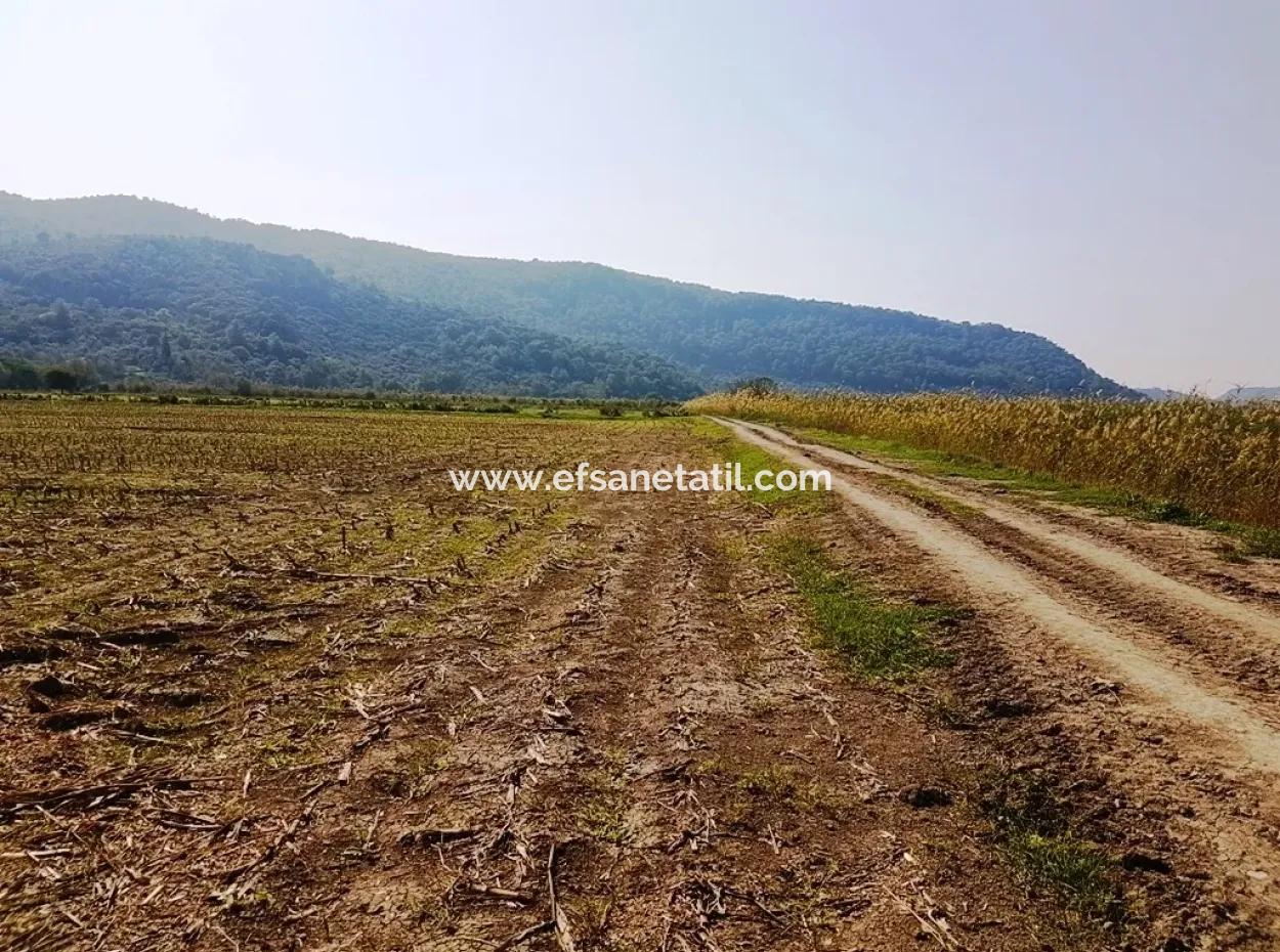 Region Of Fertile Land Rental