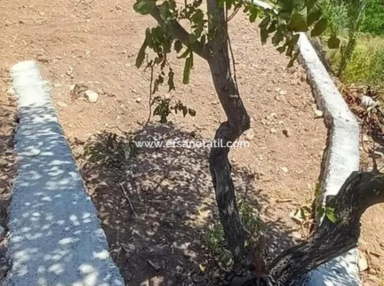 Detached Land Of 442 M2 For Sale In Denizli Çameli Ayvacık