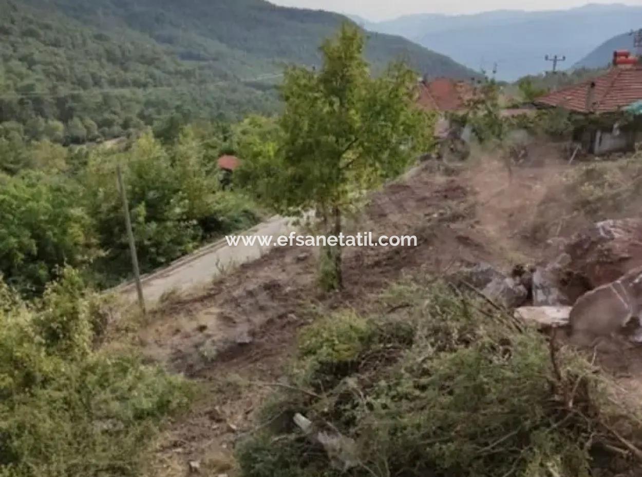 Muğla Köyceğiz Yayla Mah 570 M2 Land For Sale
