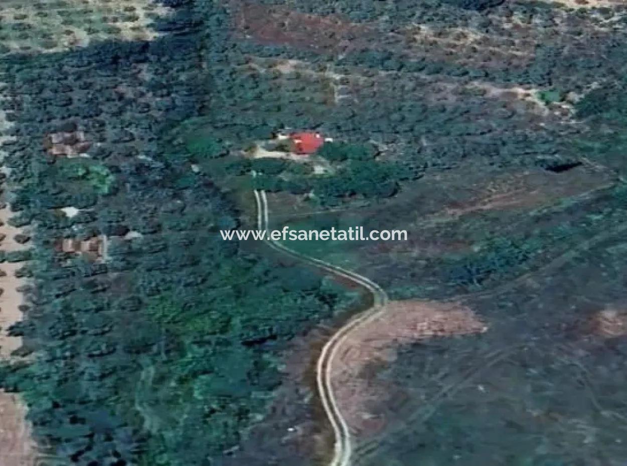 6350 M2 Field For Sale In Muğla Menteşe Kafaca