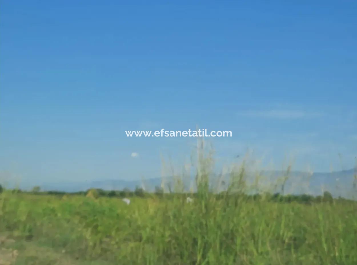 2 650 M2 Fertile Land For Sale In Köyceğiz Poplar