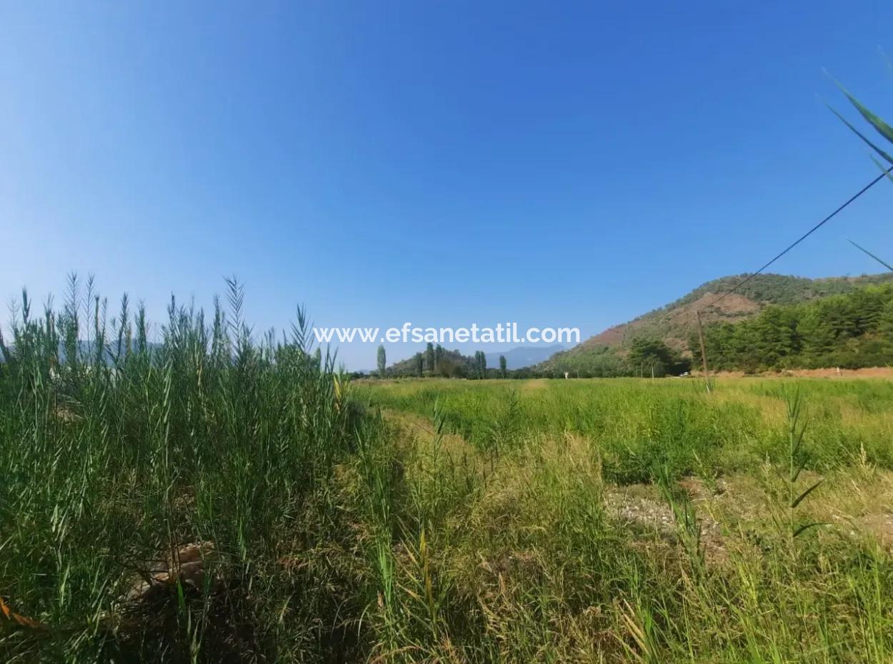 Muğla Ortaca Ekşiliyurt 8.000 M2 Fertile Land For Sale