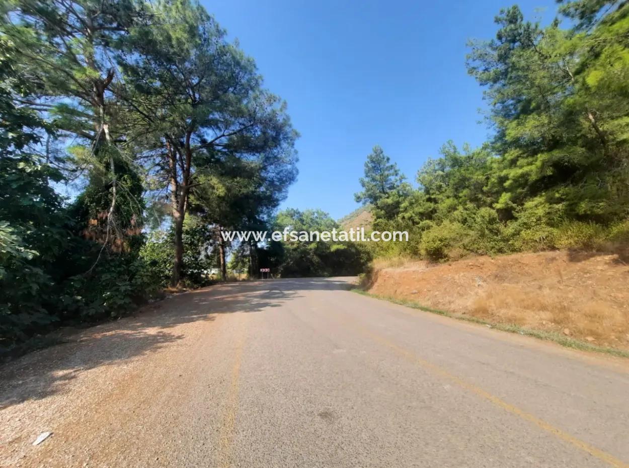 Muğla Ortaca Ekşiliyurt 8.000 M2 Fertile Land For Sale