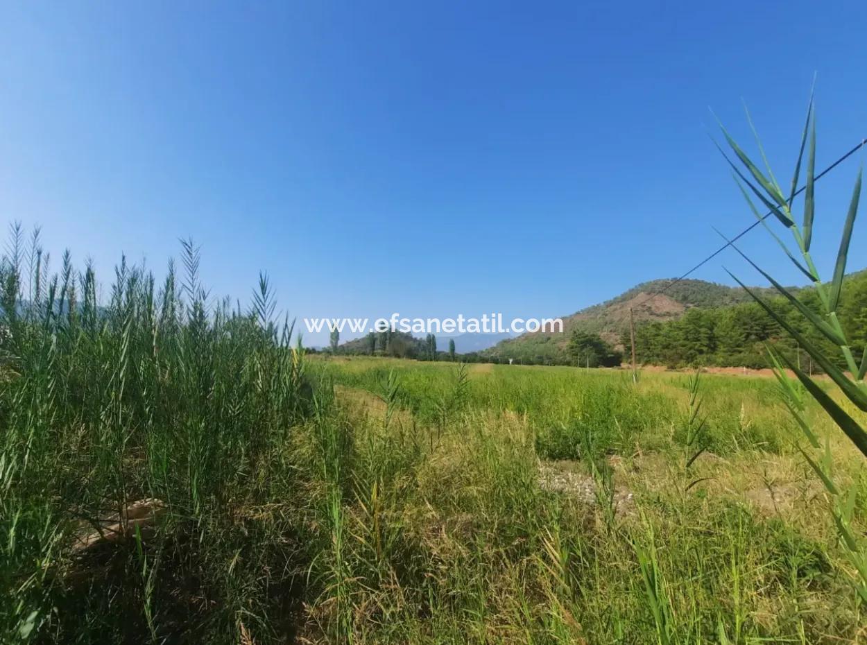 Muğla Ortaca Ekşiliyurt 8.000 M2 Fertile Land For Sale