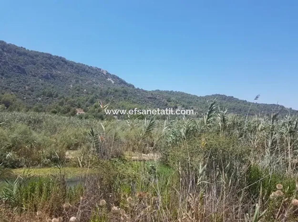 14.300 M² Land Suitable For Investment In Ortaca Sarıgerme, Muğla