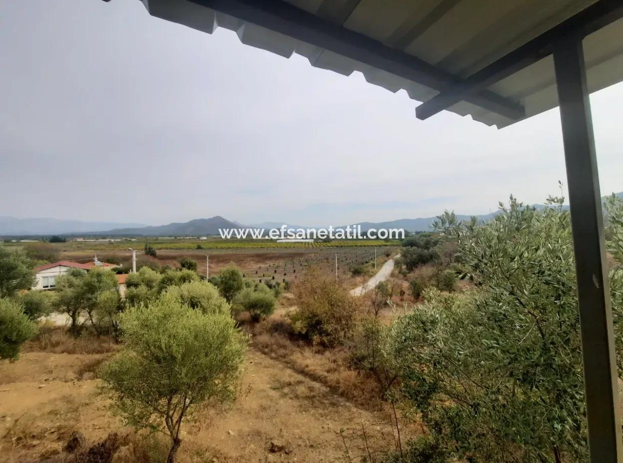 2 500 M2 Treasury Land In Eskiköy Possession Right Will Be Transferred Or Vehicle Exchanged